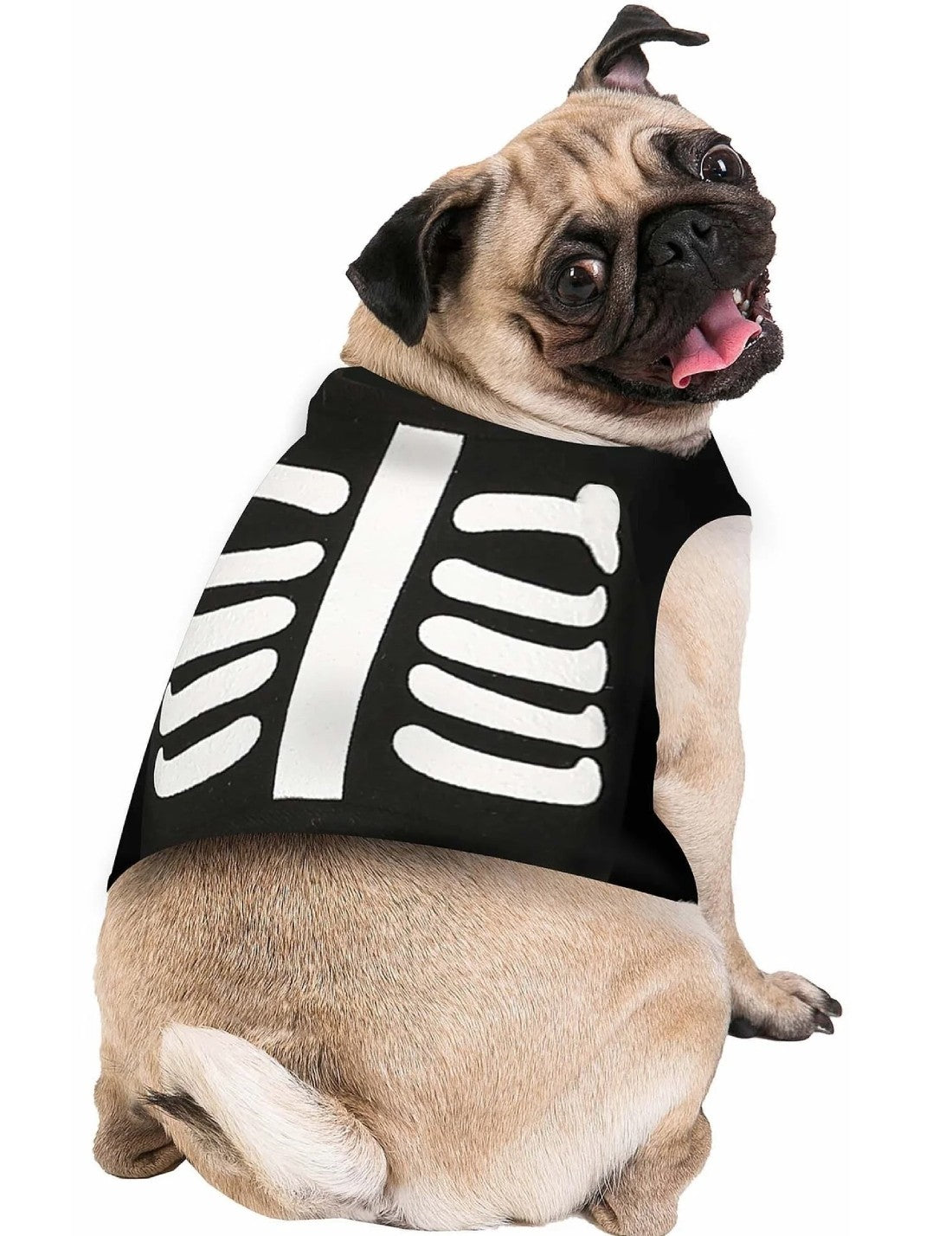 19398_1|acdc8cd122a02d7c6592150229ed0ad1