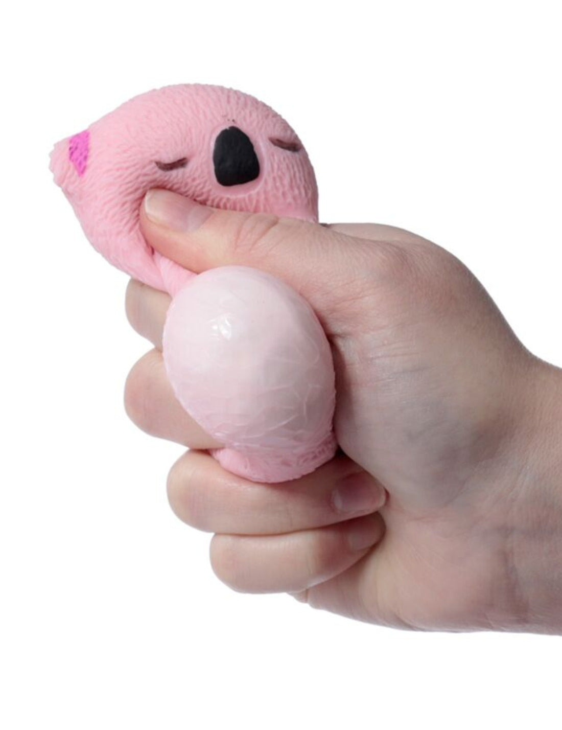 19561_5|88363cf58be3f646cda683a84dce975c