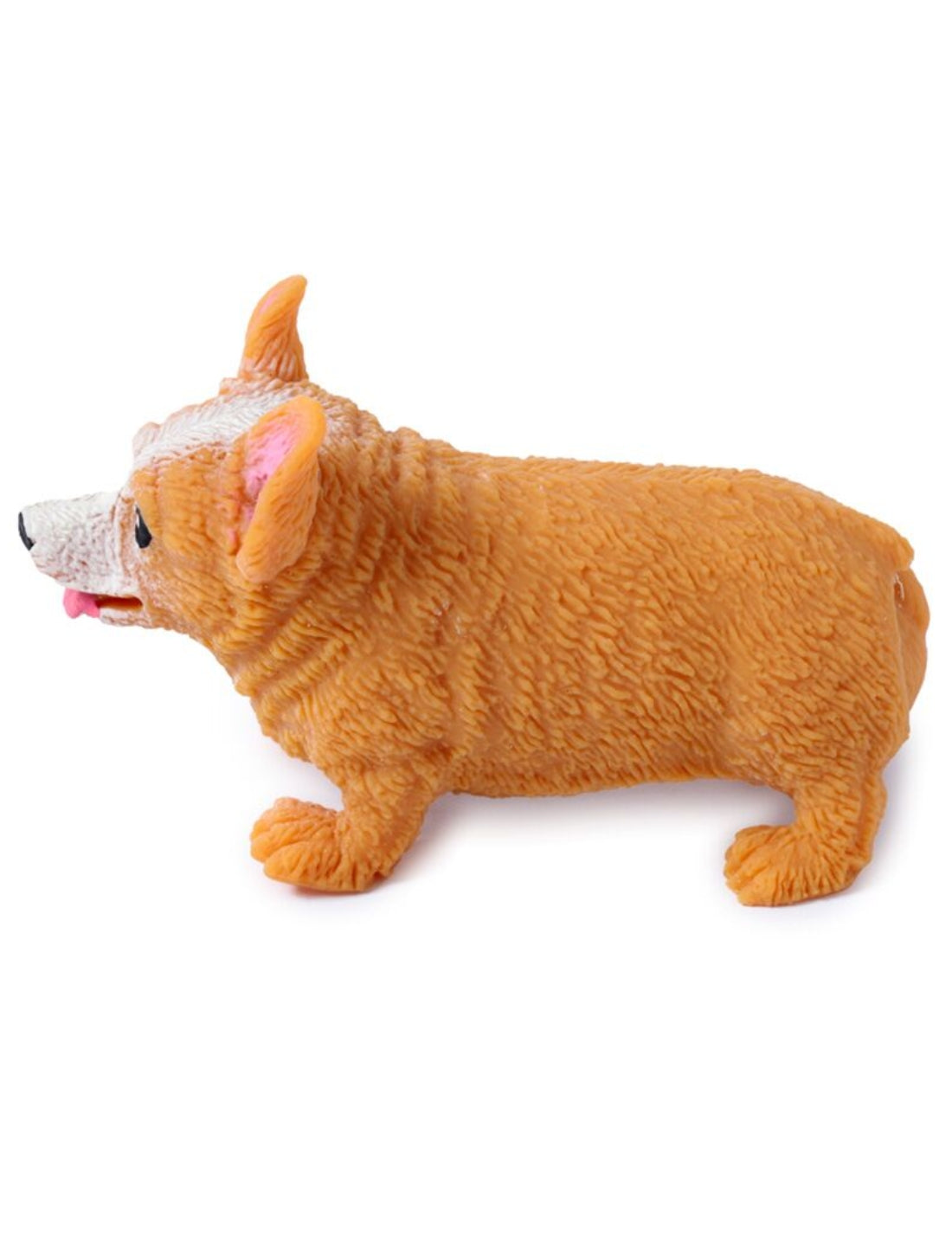 19587_2|c38830d9fbf290eed9f8aa47da80a6e2