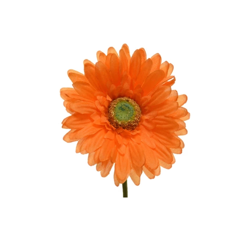 19776_1|c8ee0a20d97bf462e45558d8d1f86cdb