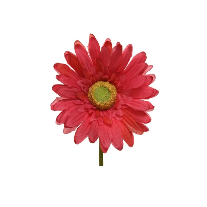 19777_1|c1b449d943aa164ffb25d49ded6adaa4