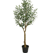 19802_1|50e0791e08f5b87ca7bd221affc47293