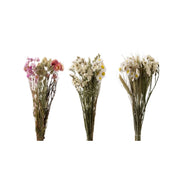 19818_1|bbcaac5747bec68abb7dc065b976801d