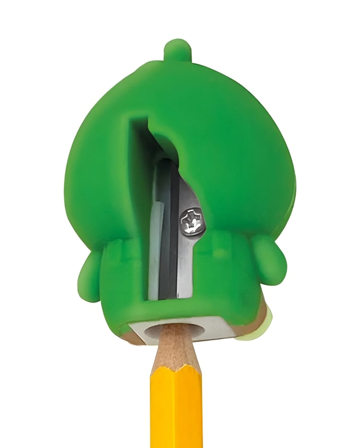 Temperamatite Orsetto Teddy Avocado