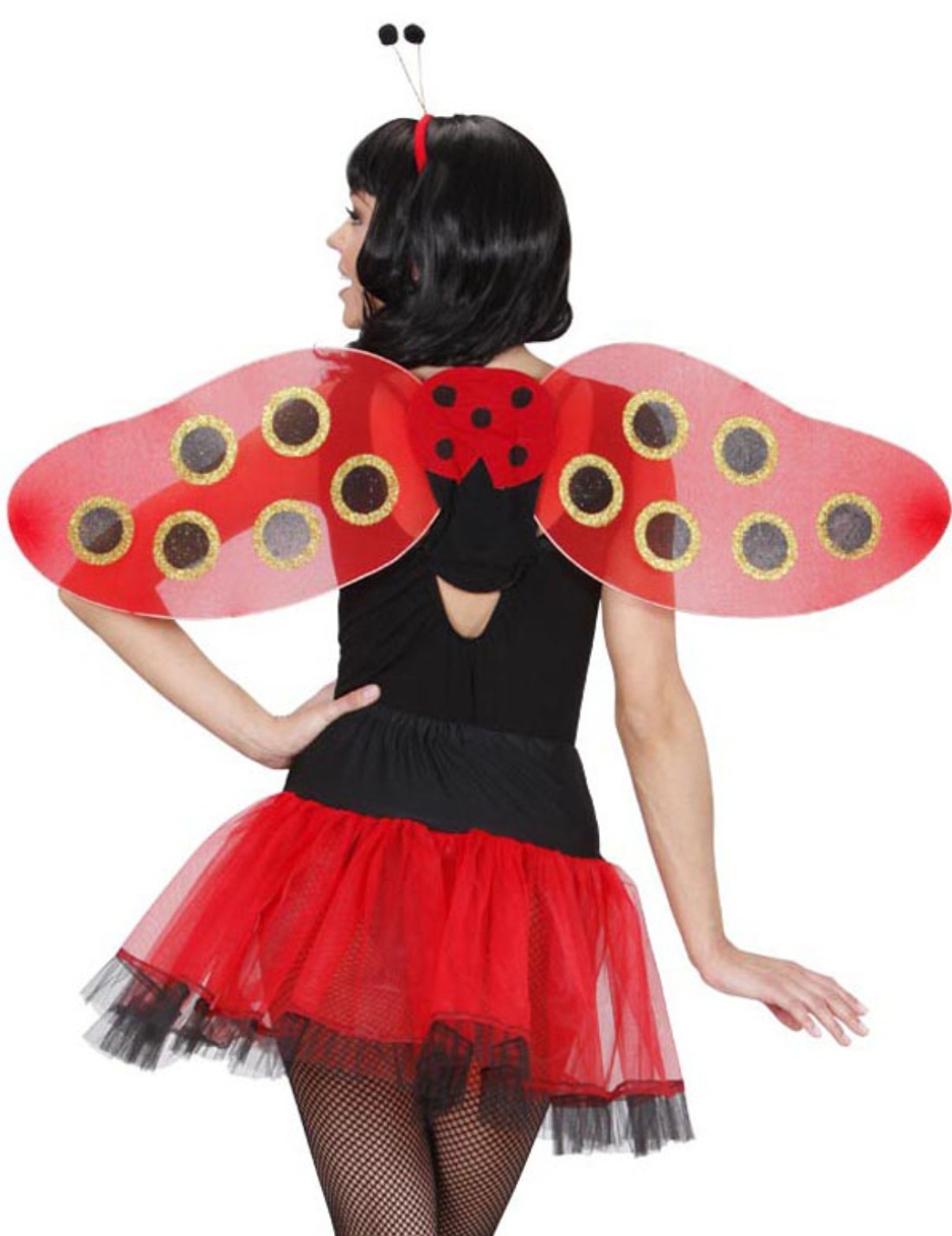 Set Frontino E Ali Coccinella Carnevale