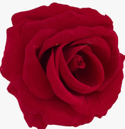 Rosa Artificiale Rossa Con Clip