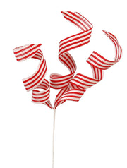 20896_1|387d4b81ca3c34b04352377586f062c7