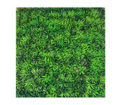 20901_1|618a8e78c4a9f8531101e5d966e901c6