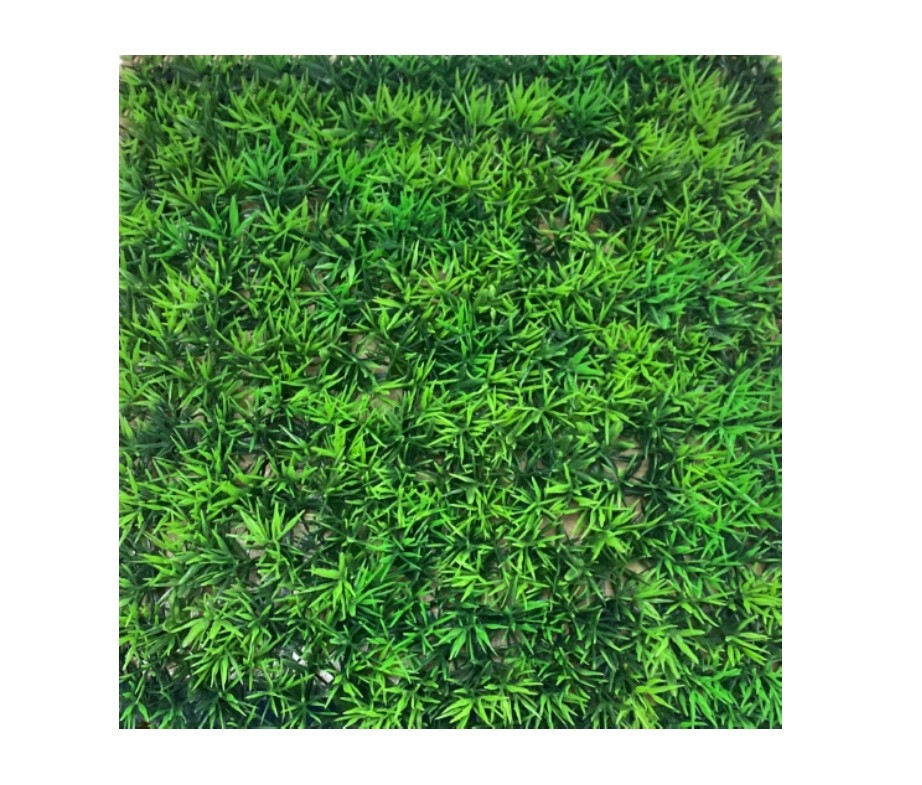 20901_1|618a8e78c4a9f8531101e5d966e901c6