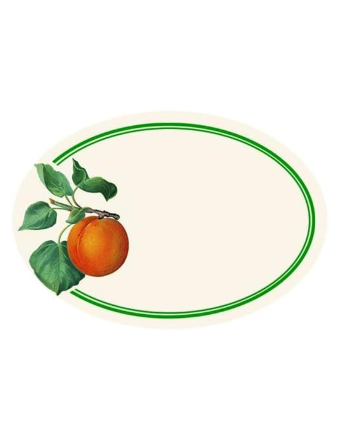 Set 6pz Etichette Adesive Per Confetture Fantasia Albicocca