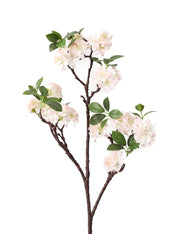 21068_1|8ec037d5a223d8a519080080701a3176