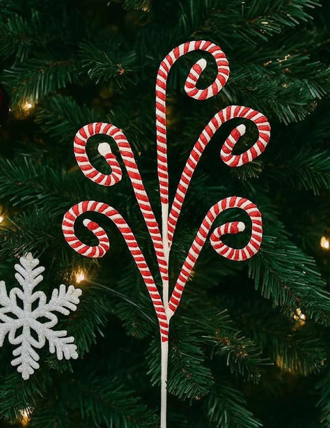 21263_2|c55ceca10ff807e1ccdb13665e74a08e