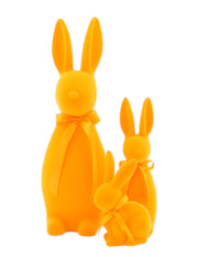 21343_1|c25914559685b1c3b5924a3834b8f328