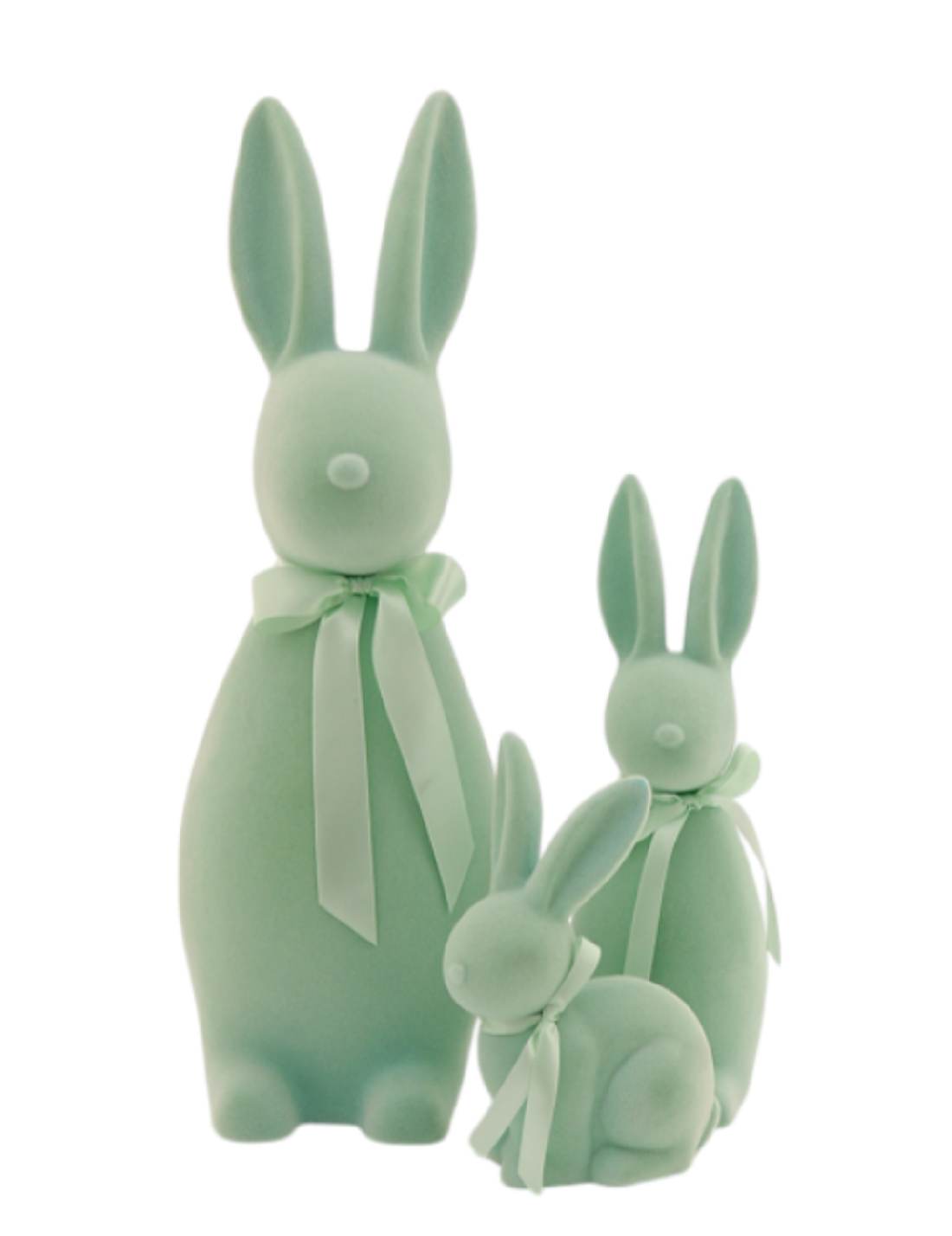 21346_1|d2e7d5f513703b3e466477ae23c1cb00