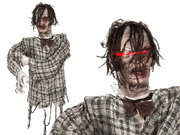 21638_1|4ee1b33604f4d63efc278b5917997c46