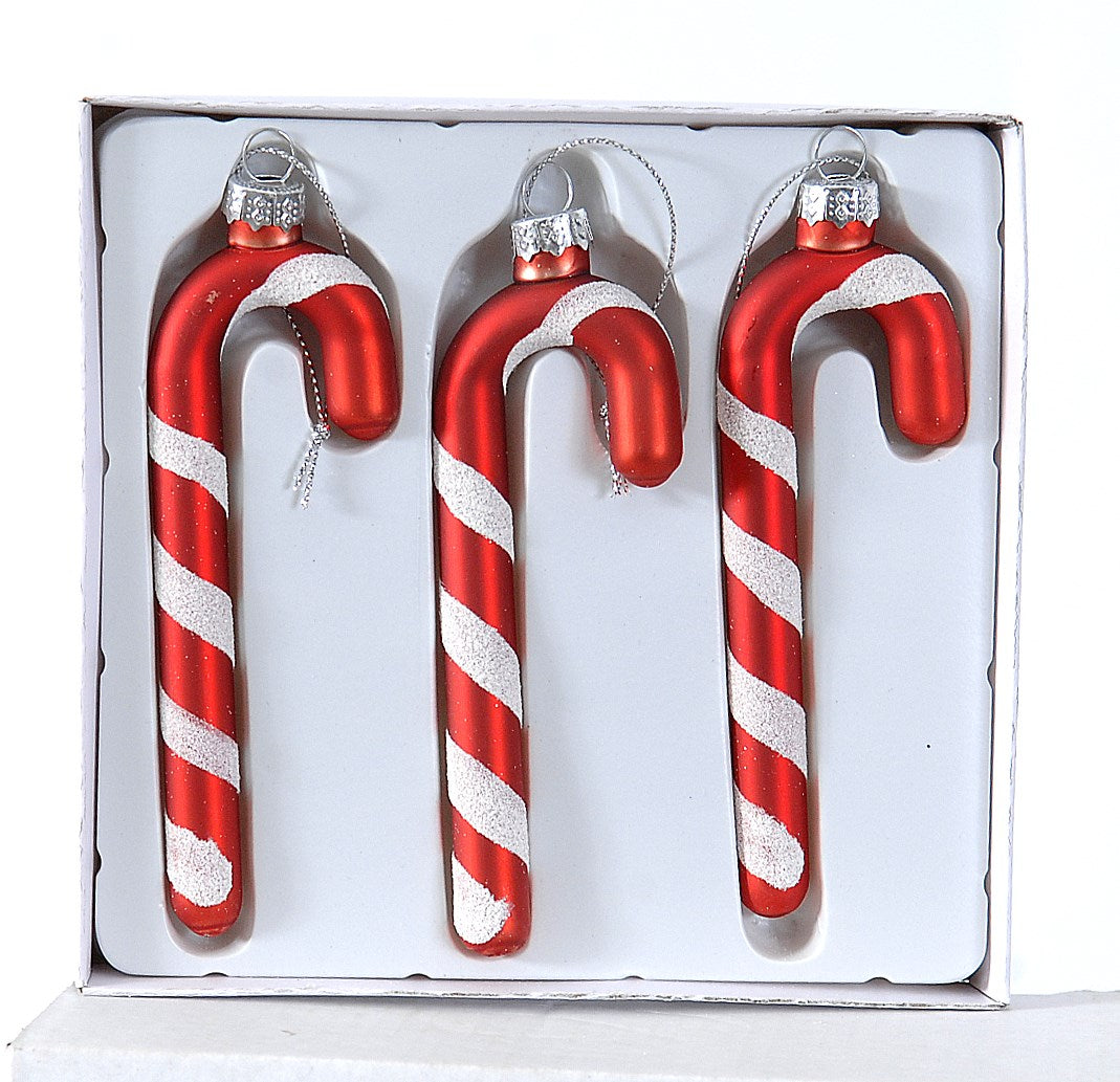 21737_1|dedd04151cc4c5bff10e12c7d6be1e65