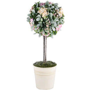 21968_1|18151548161992c104fa3c80cf2c8d85