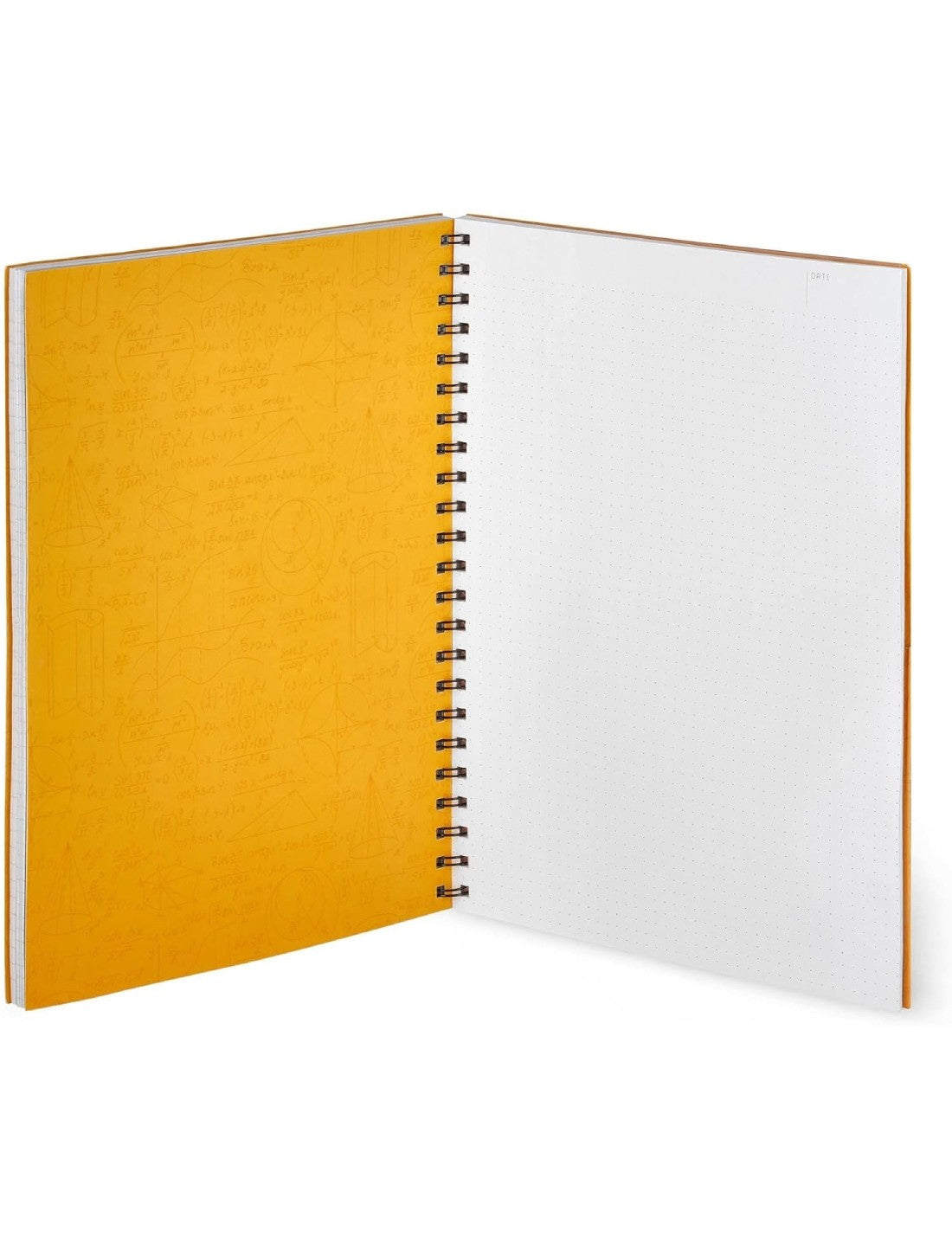 22067_3|48ada915146e14aceff93bab297905f5