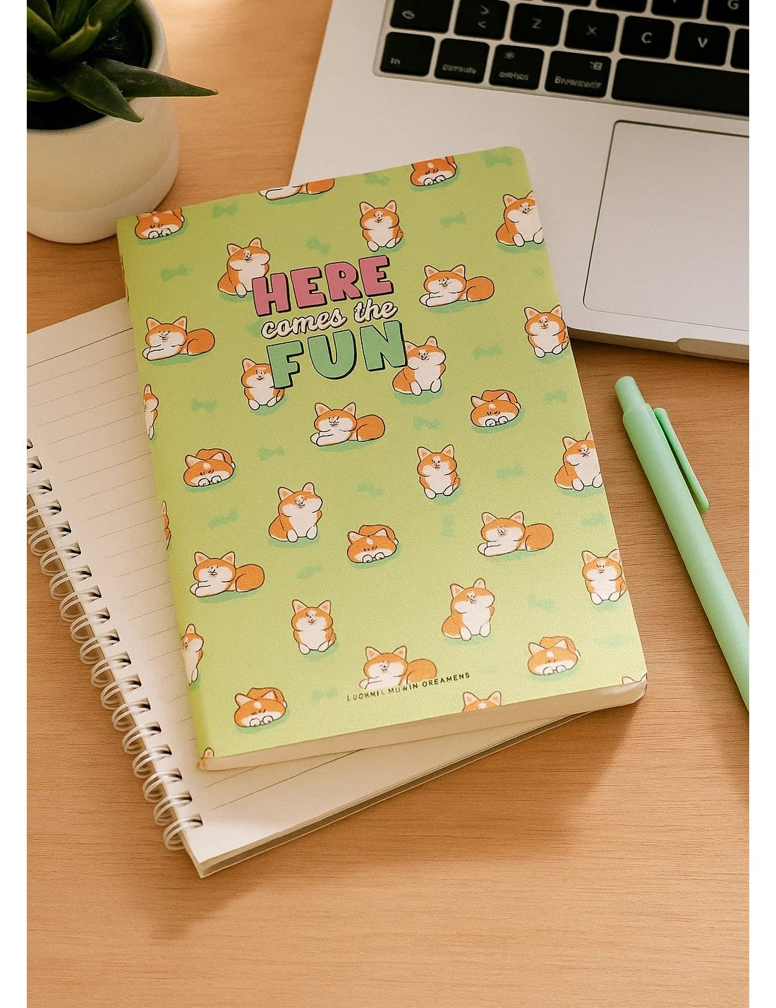 22113_4|c9948621d901e44d5da1ae2adf61c780