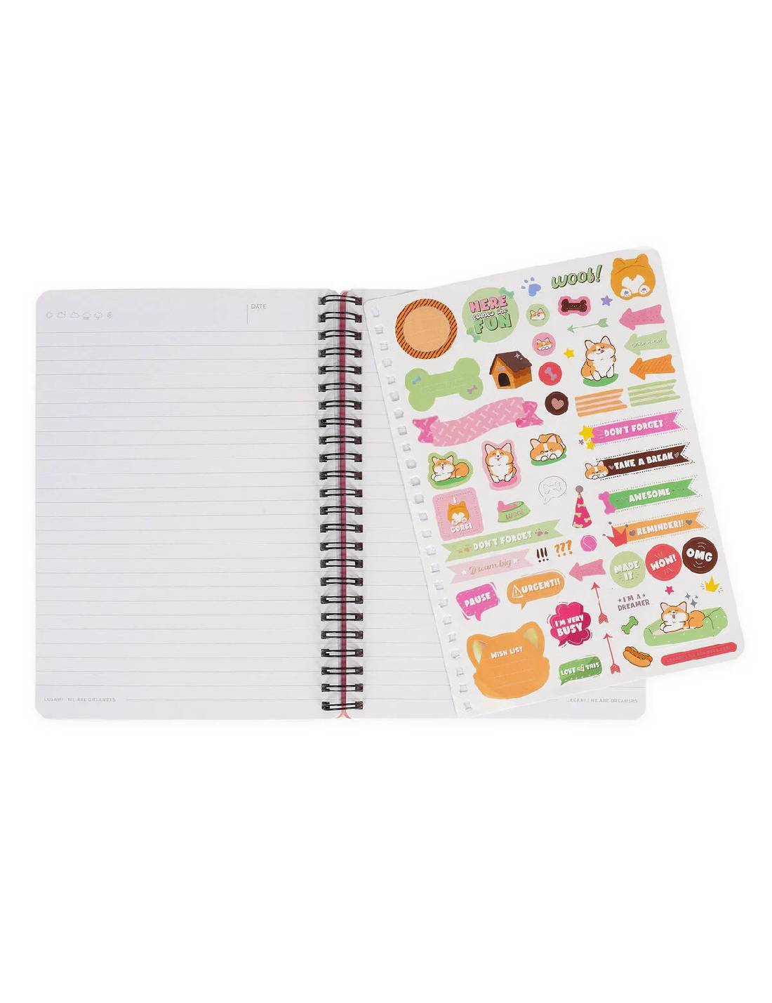 22137_5|e5862b58a1b4b184438f7e8a84eca635