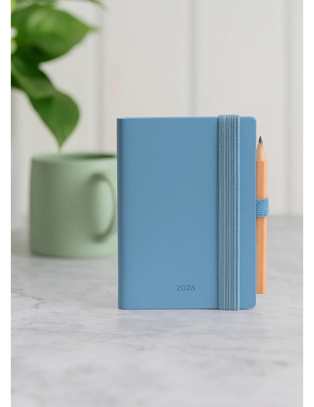 Agenda Bigiornaliera 12 Mesi 2026 Legami Retro Blue Mini