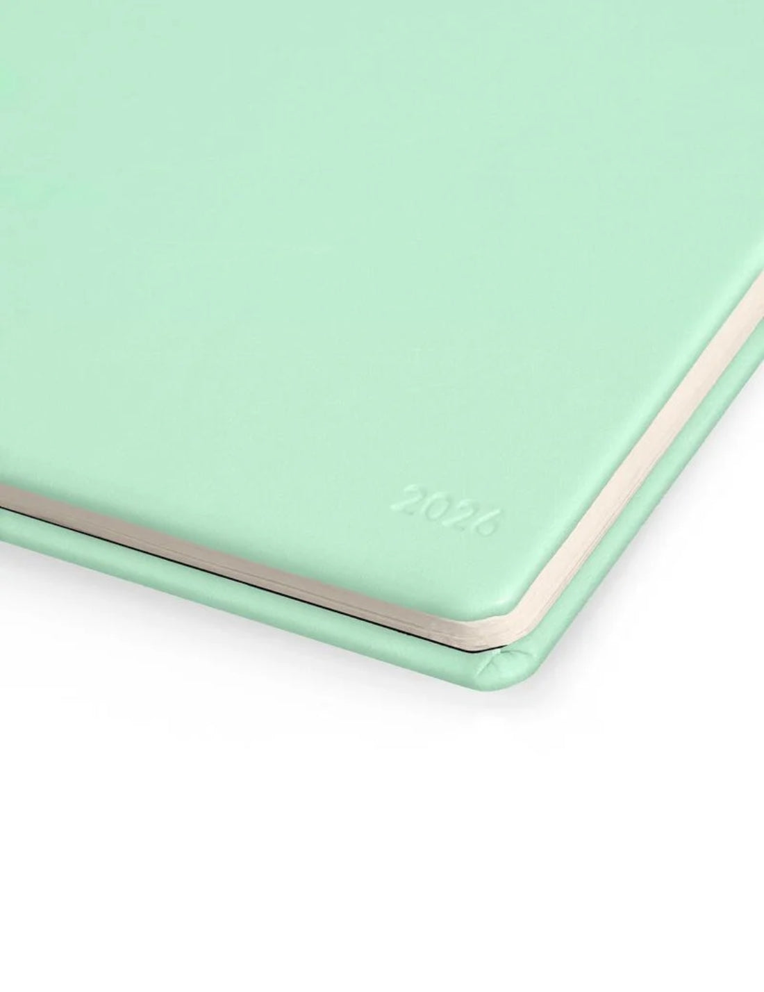 Planning Agenda Da Scrivania 13 Mesi 2026 Pastel Mint Legami