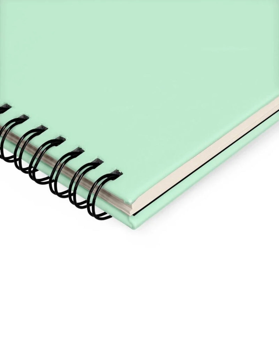 Planning Agenda Da Scrivania 13 Mesi 2026 Pastel Mint Legami