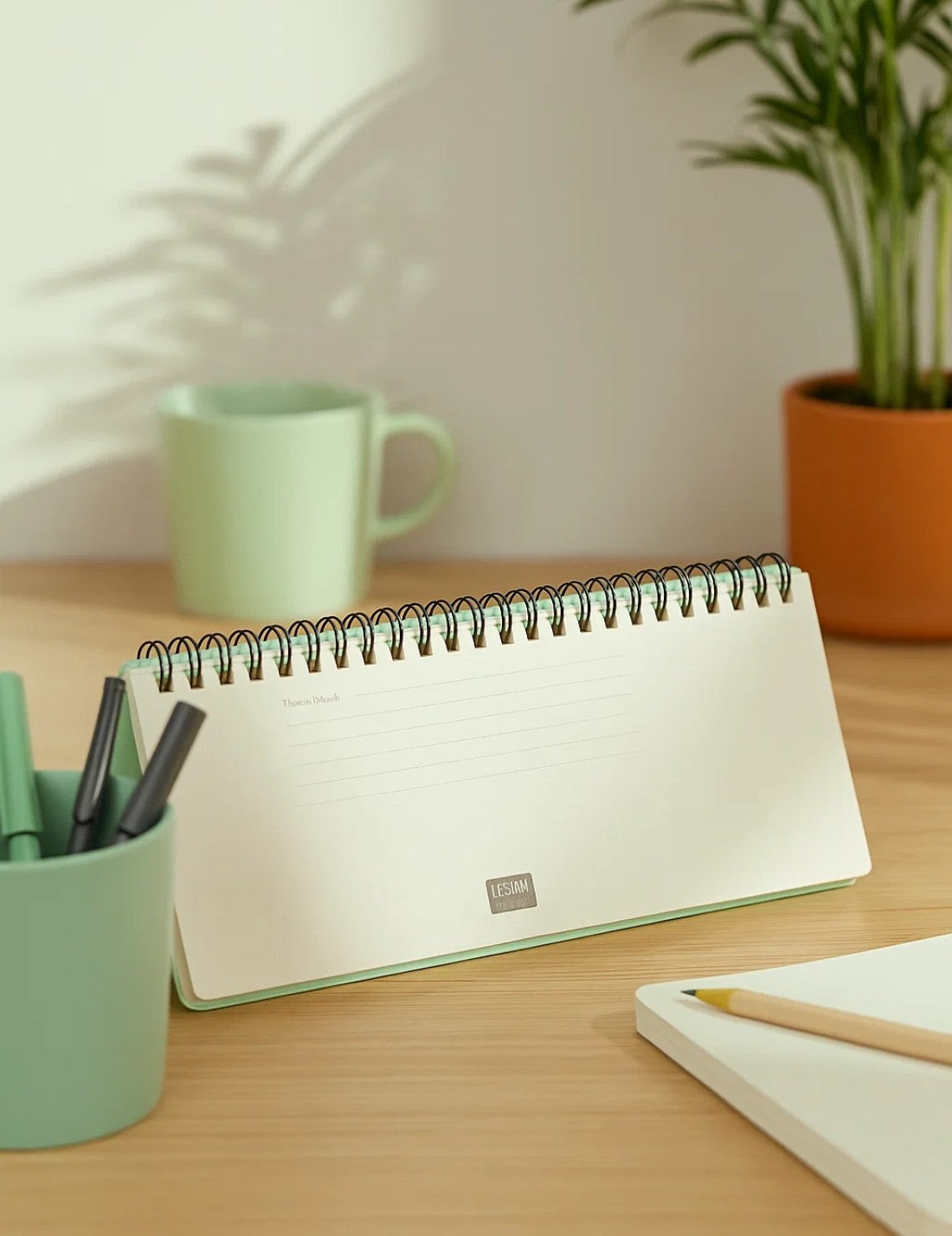 Planning Agenda Da Scrivania 13 Mesi 2026 Pastel Mint Legami