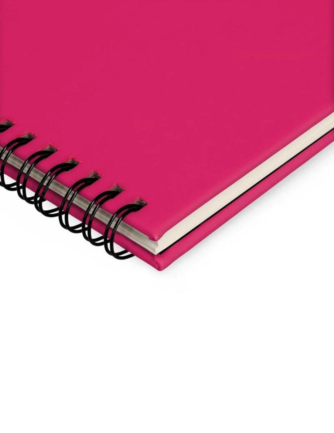 Planning Agenda Da Scrivania 13 Mesi 2026 Raspberry Legami