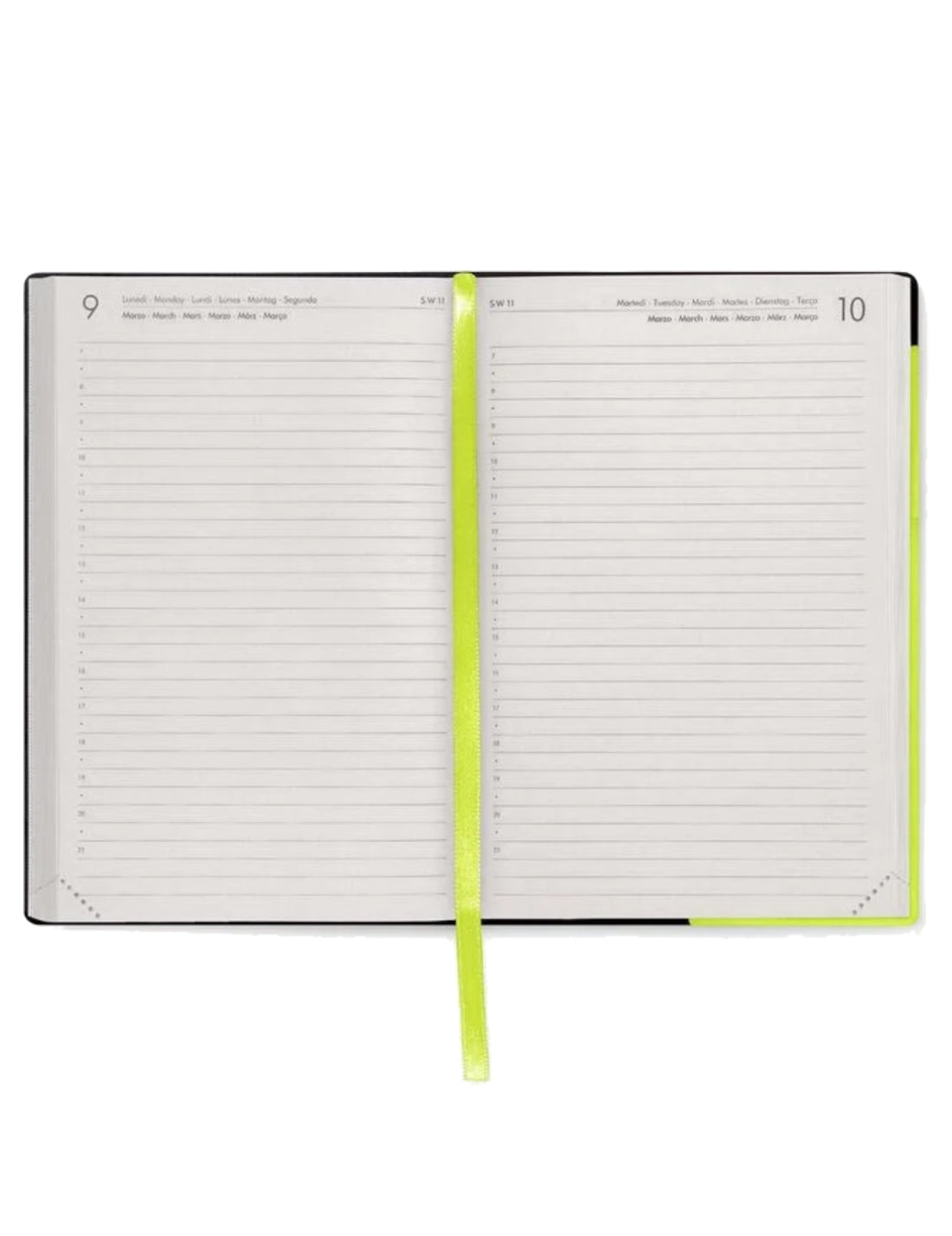 Agenda Giornaliera 16 Mesi 2025/2026 Legami Chartreuse Medium