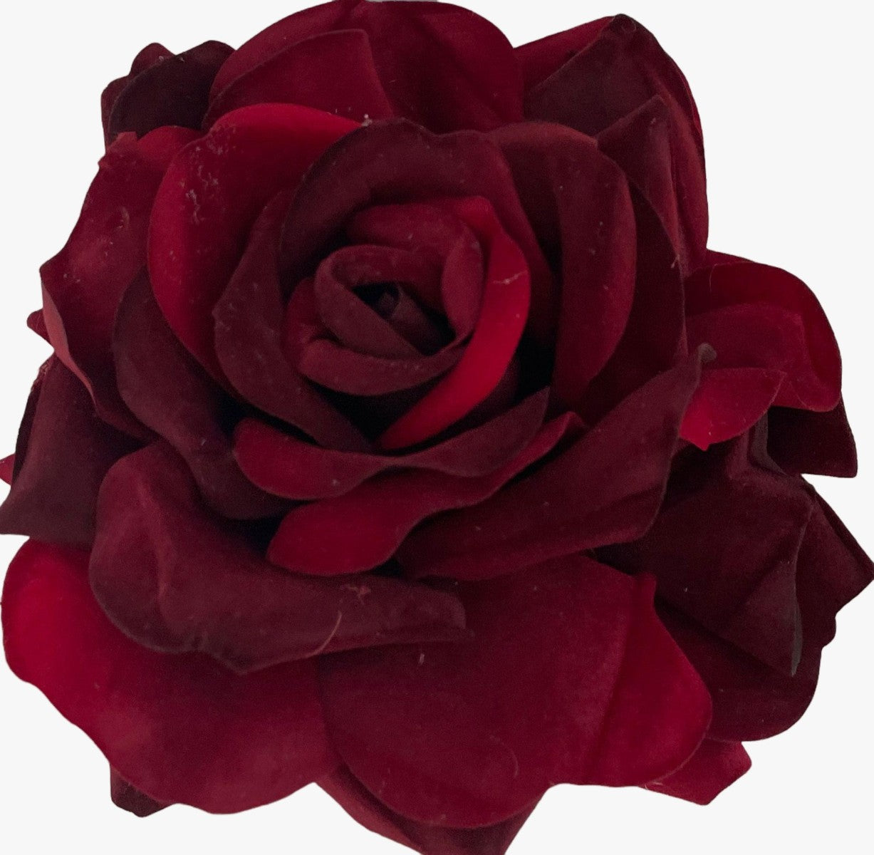 22933_1|8e71a0737cf35e71ac280b94bc4c6d6b