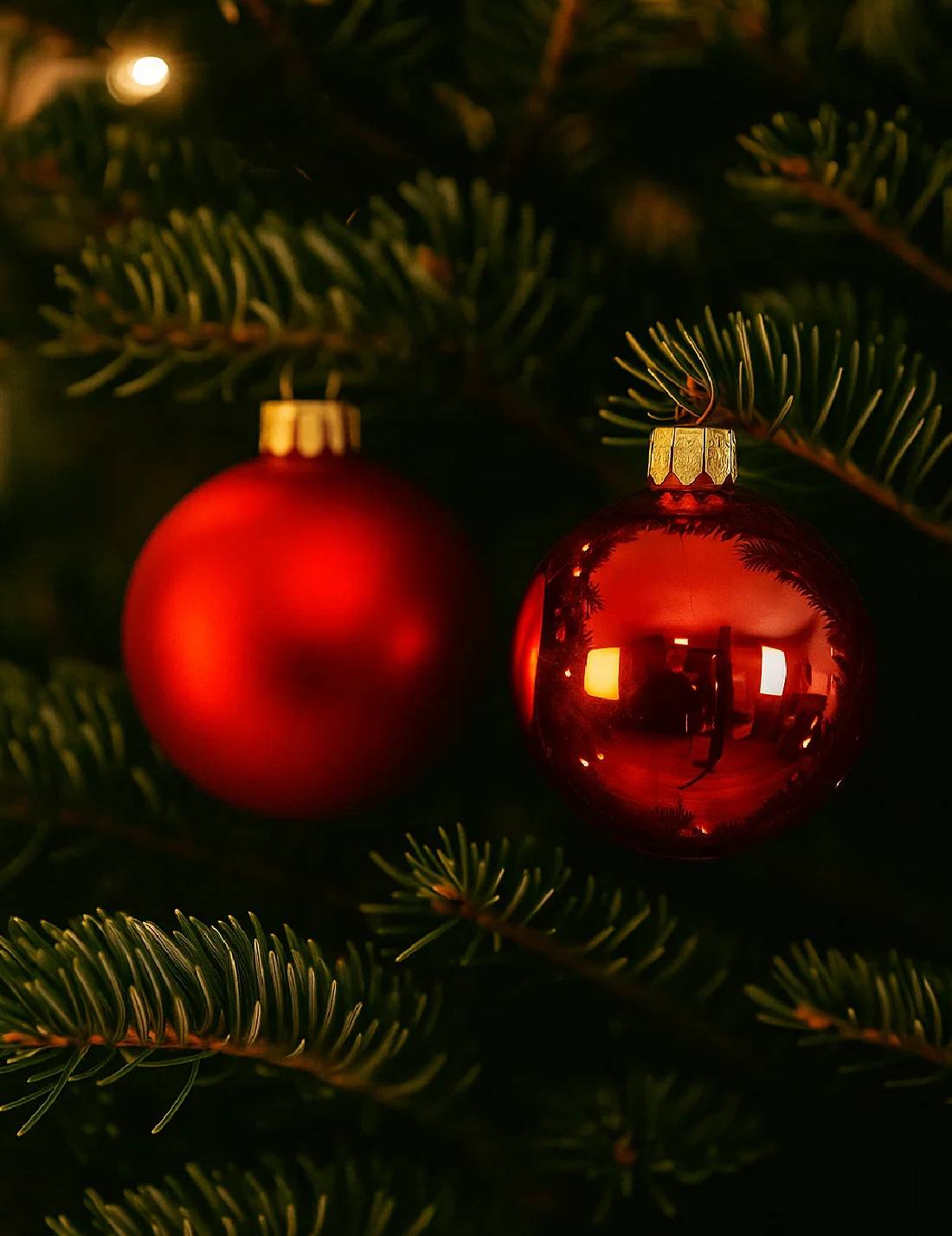 23167_1|6df3a13752b5b3cf9d828ab1552bbbaa