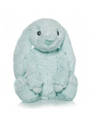 23182_1|9eebc98dedea368e4cff2615f0ddb5ce