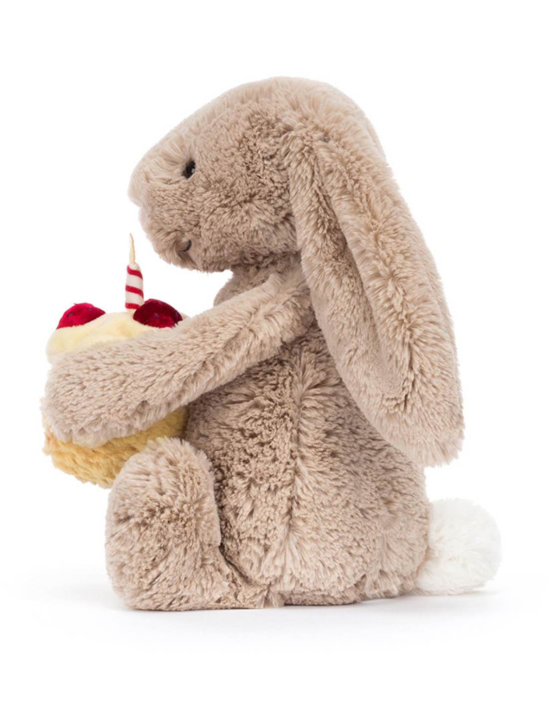 24179_2|f4c740af90d307da536a87f4001dbcb2