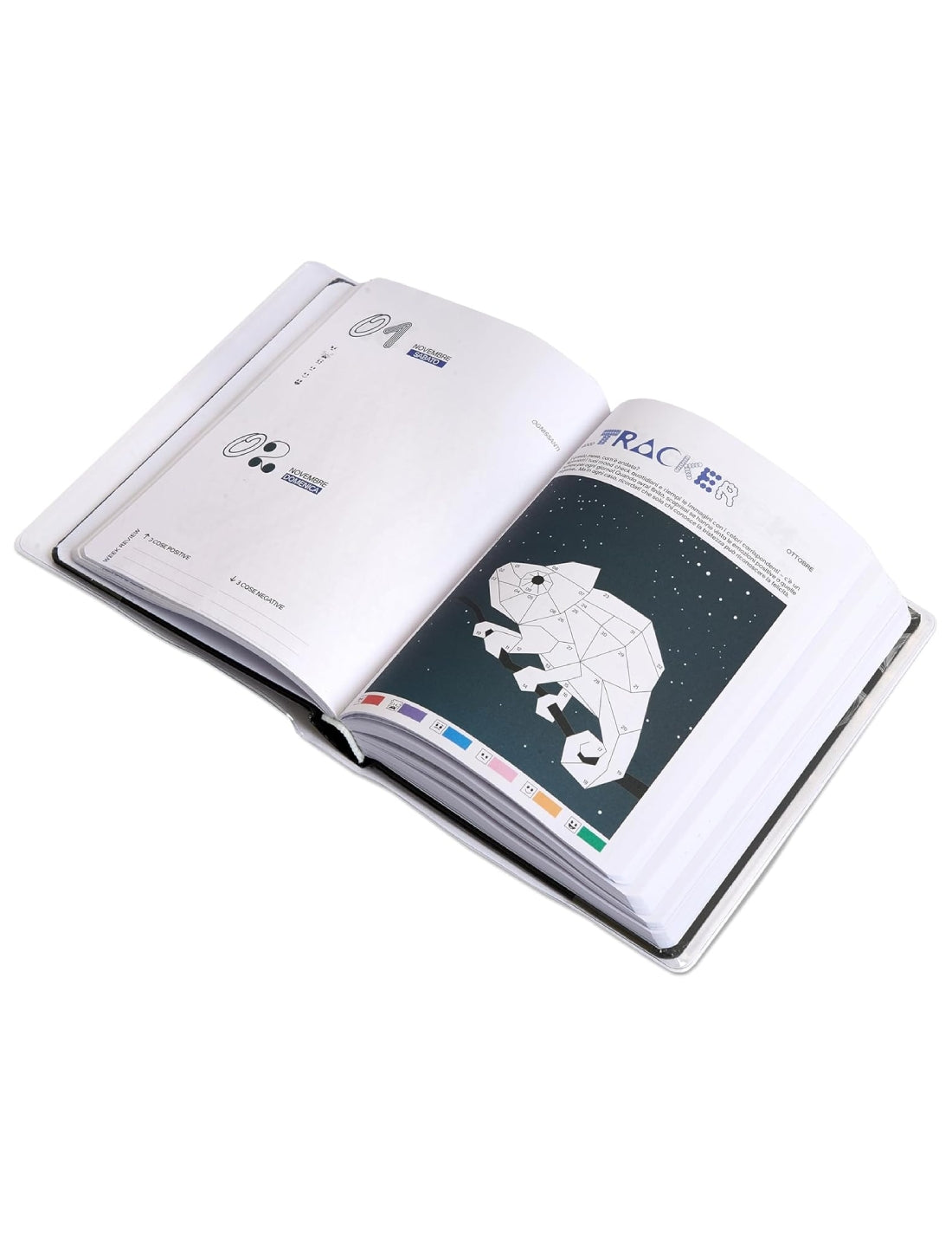 24306_6|147ed51121bb572913907aa199e2b4a3