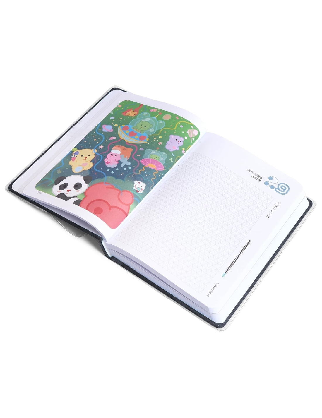 24310_5|81989db219158bb902e093aa9c192c13