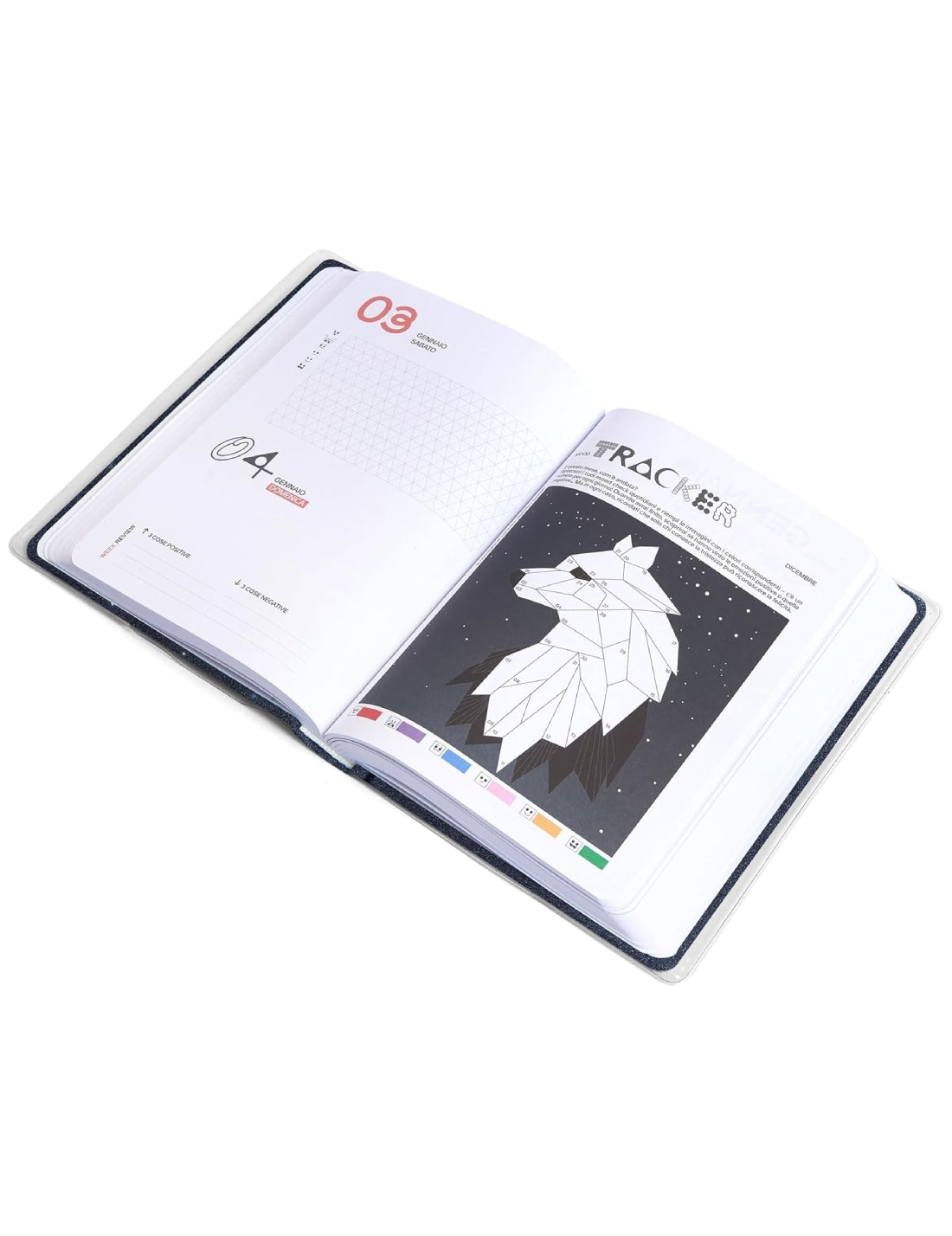 24310_6|36f2545c0d453eb30dad41776c25c49a