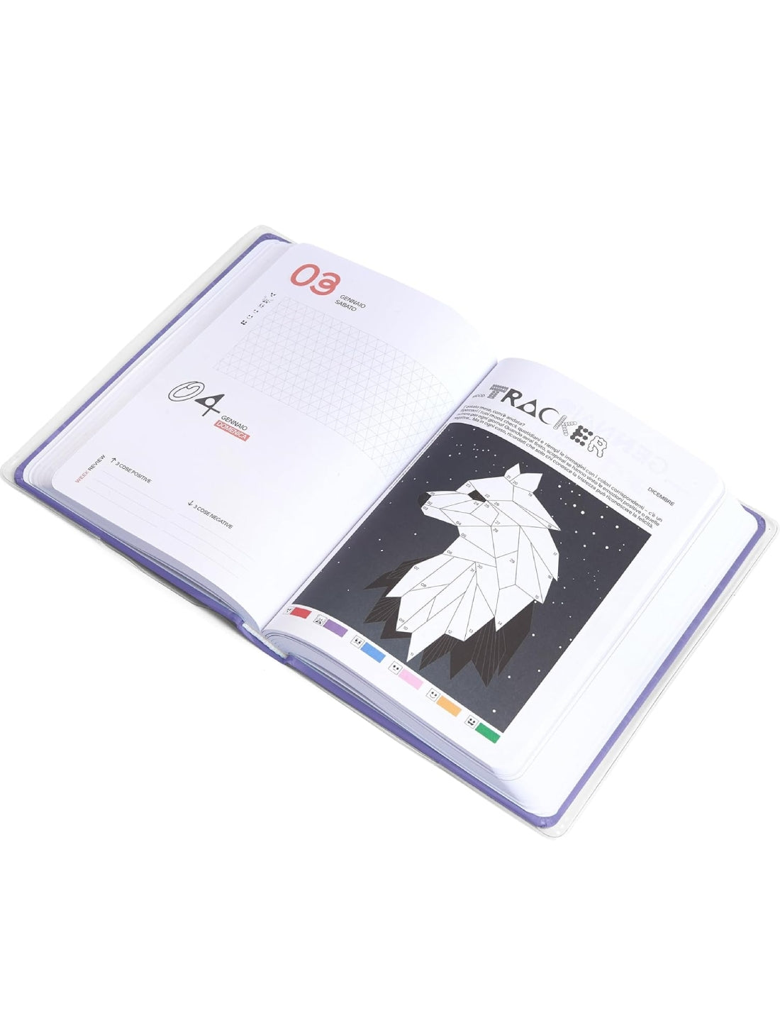 24312_6|63e5c2b92d625c7acdcdff9a451a7783