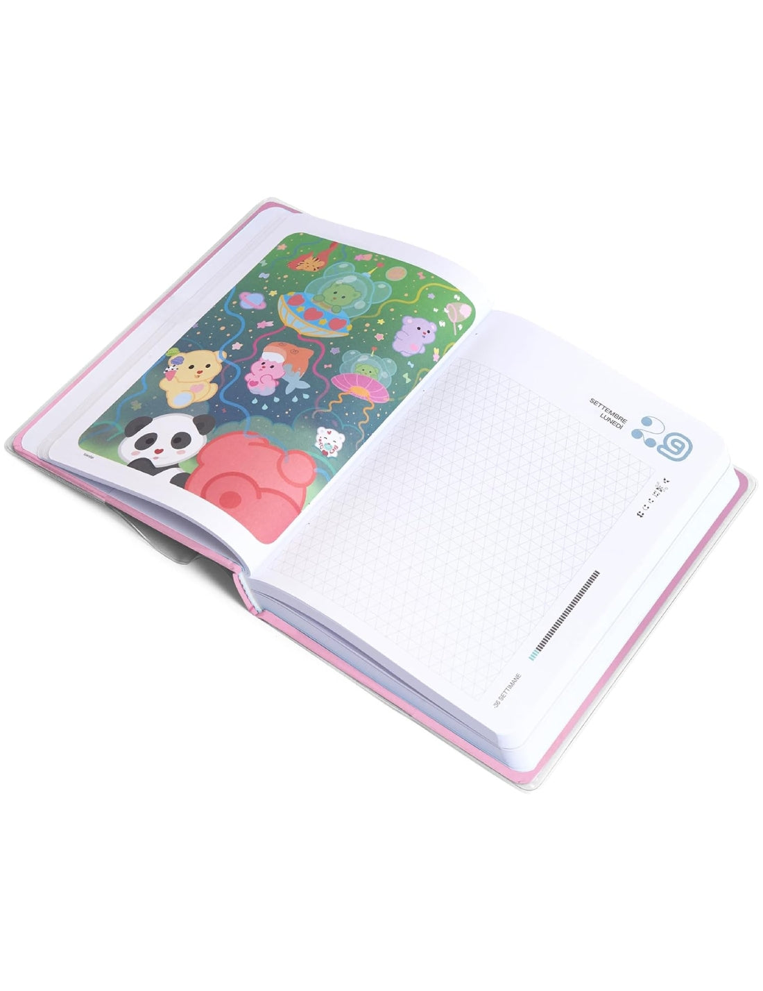 24316_4|66d6b5ac99dd53a3a7b5c10be8db94ed