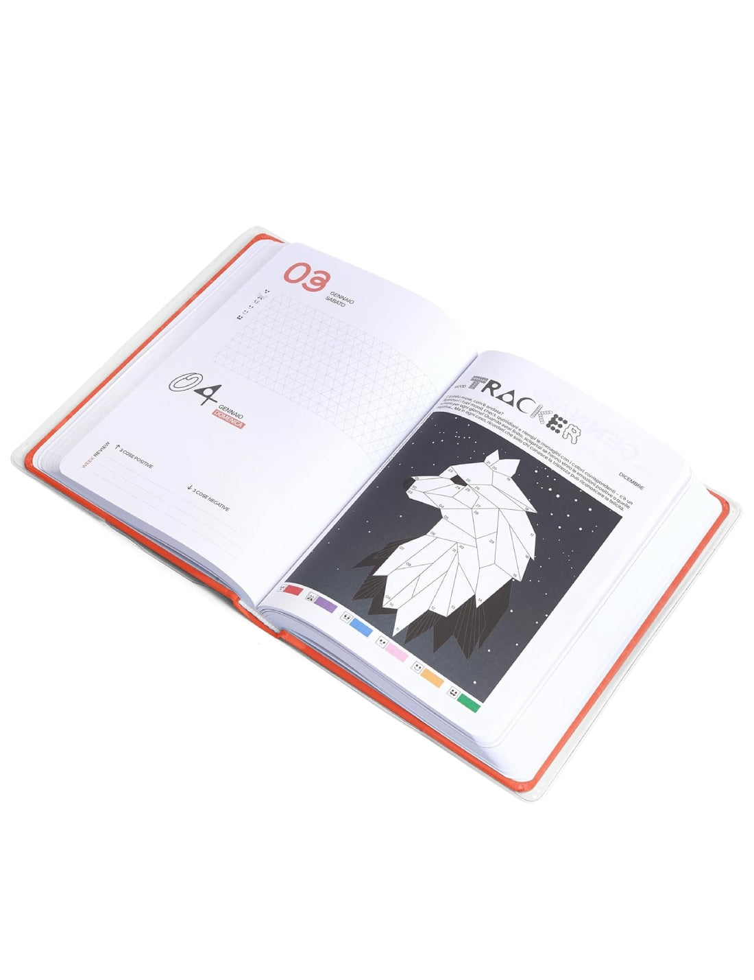 24320_7|491a225a61679a0b0b9433de7cb06030