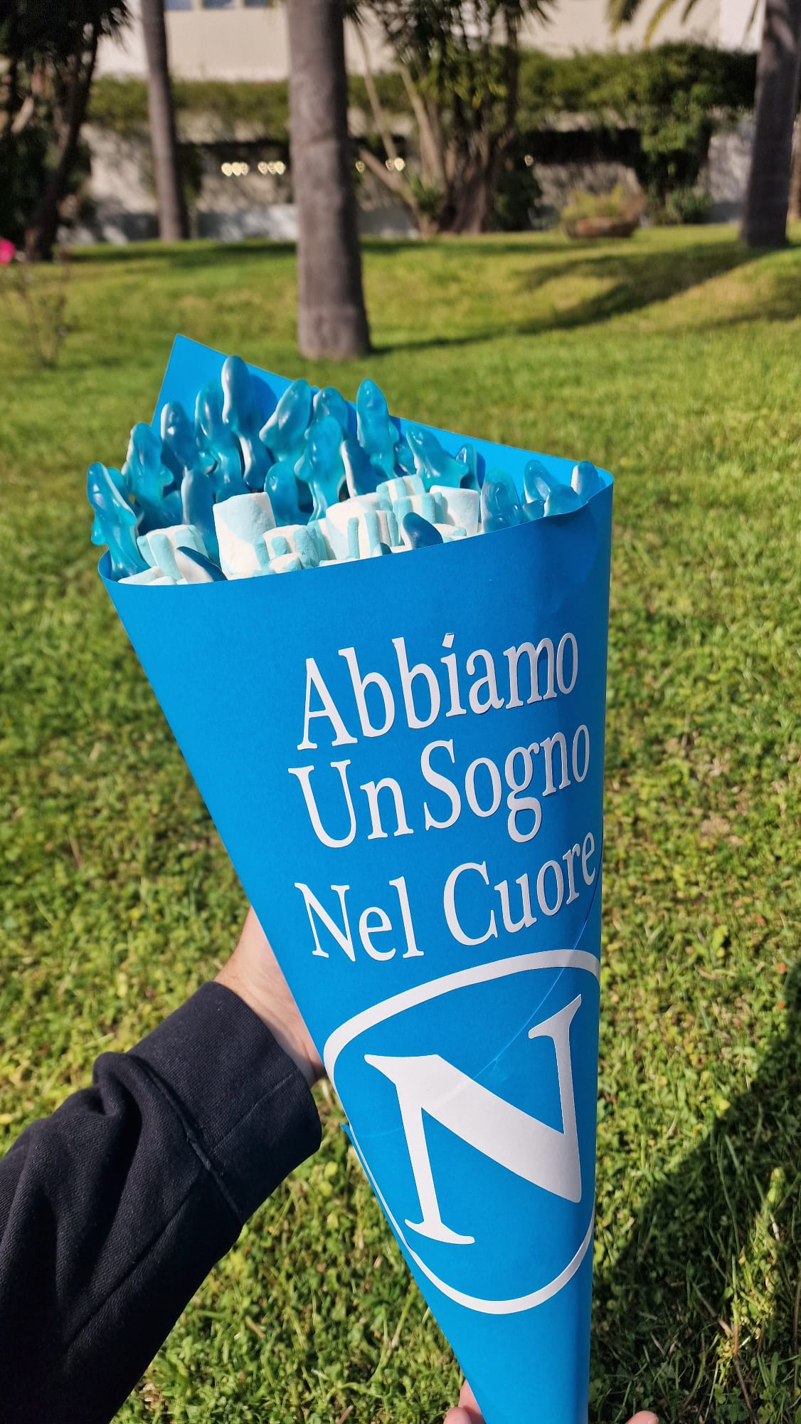 24682_1|bc1c87f7ae848f6da68974ba93c851ad