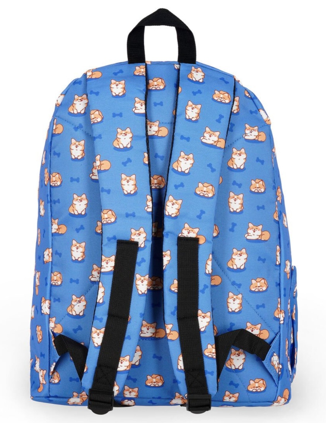 24734_2|3b7027e81d9ce3d3d9ef9f88f28035cf