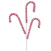 24997_1|9eba5bc44d61235e581ad306479c9290