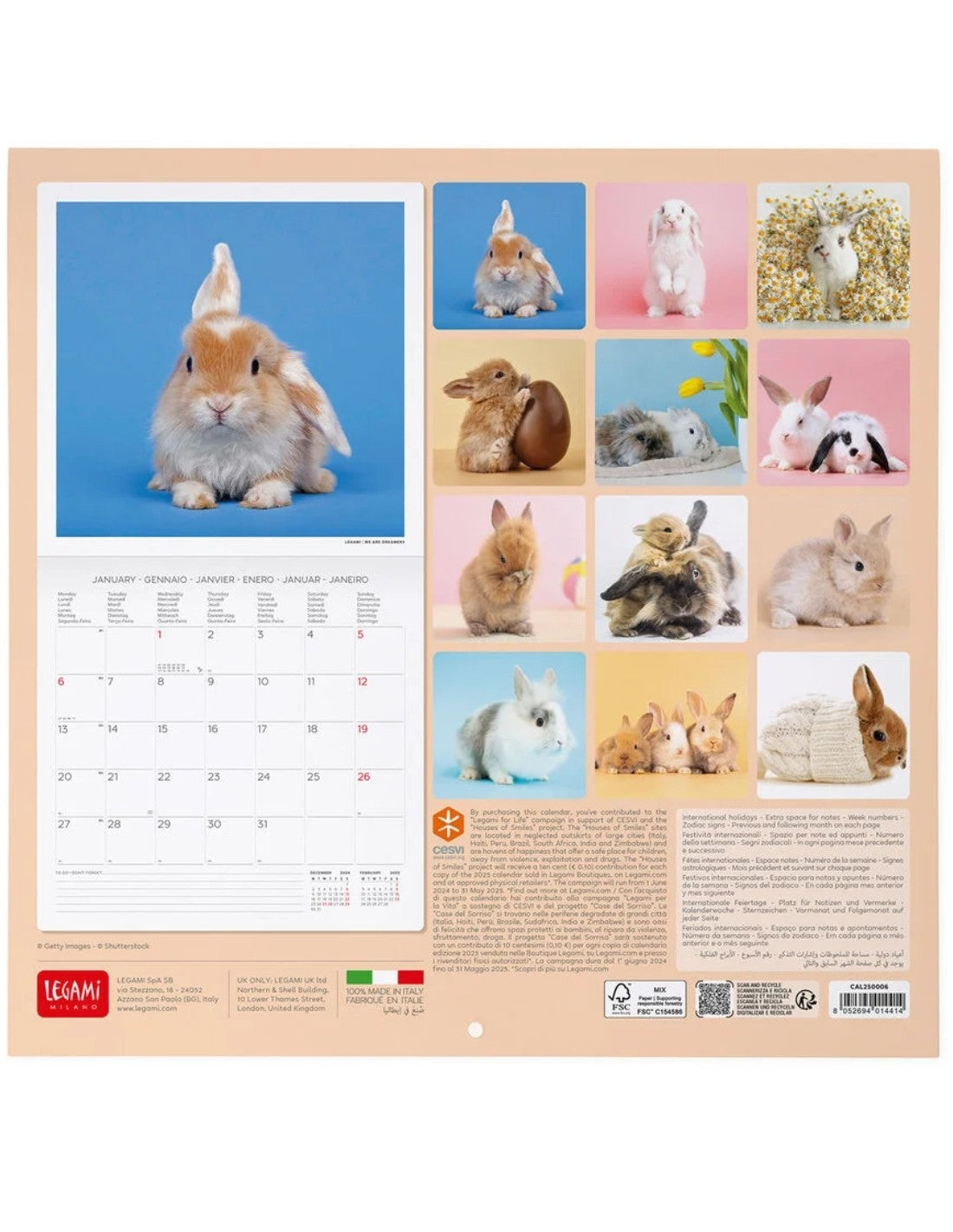 Calendario Da Parete 2025 Legami Bunny