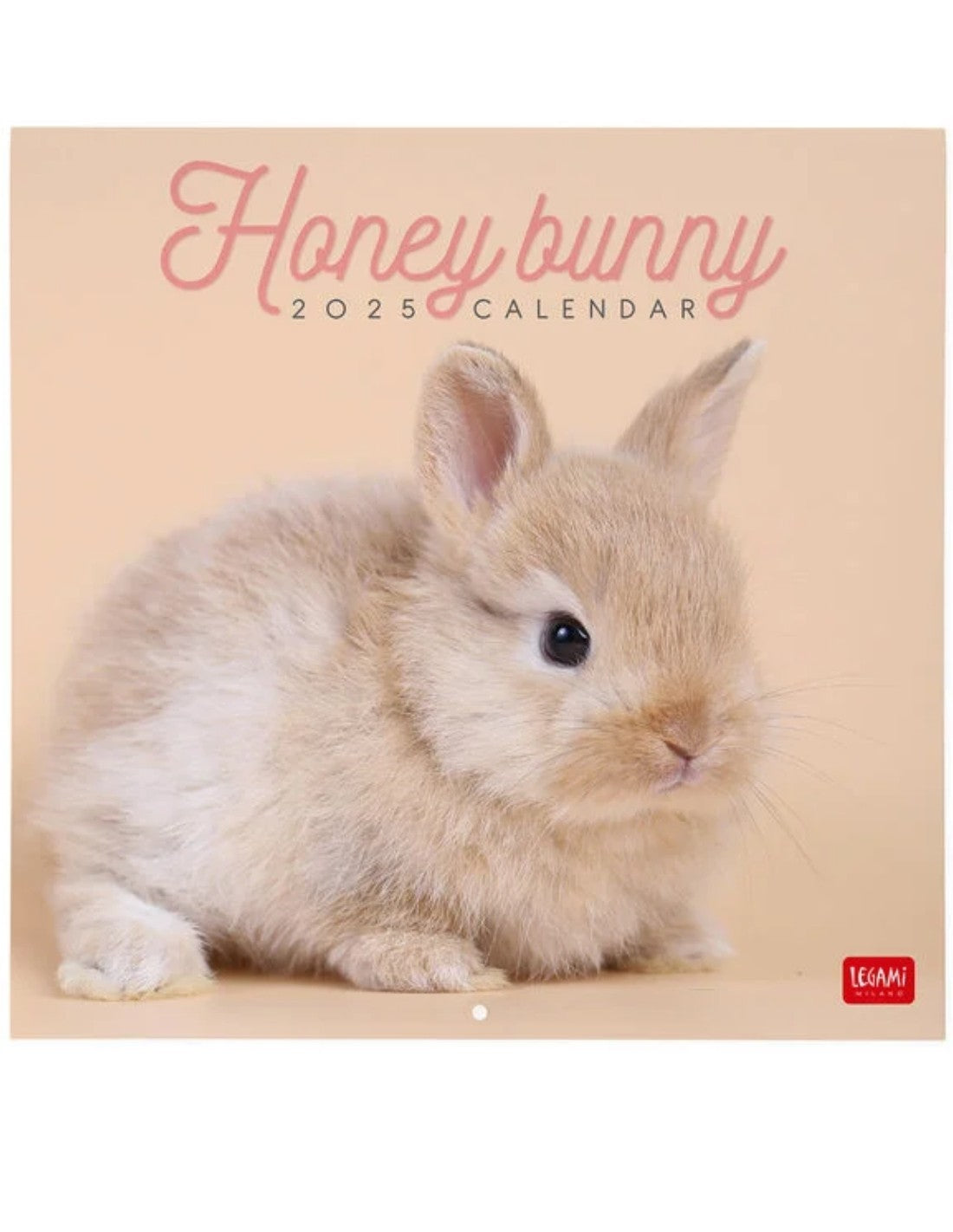 Calendario Da Parete 2025 Legami Bunny