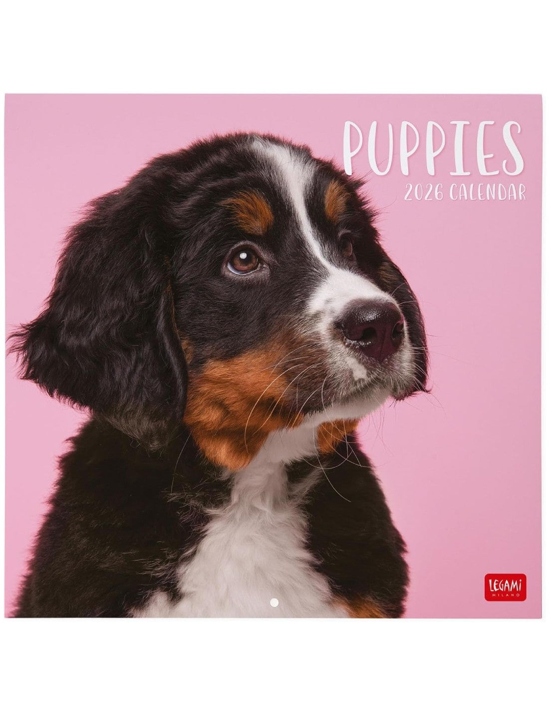 Calendario Da Parete 2026 Puppies Legami