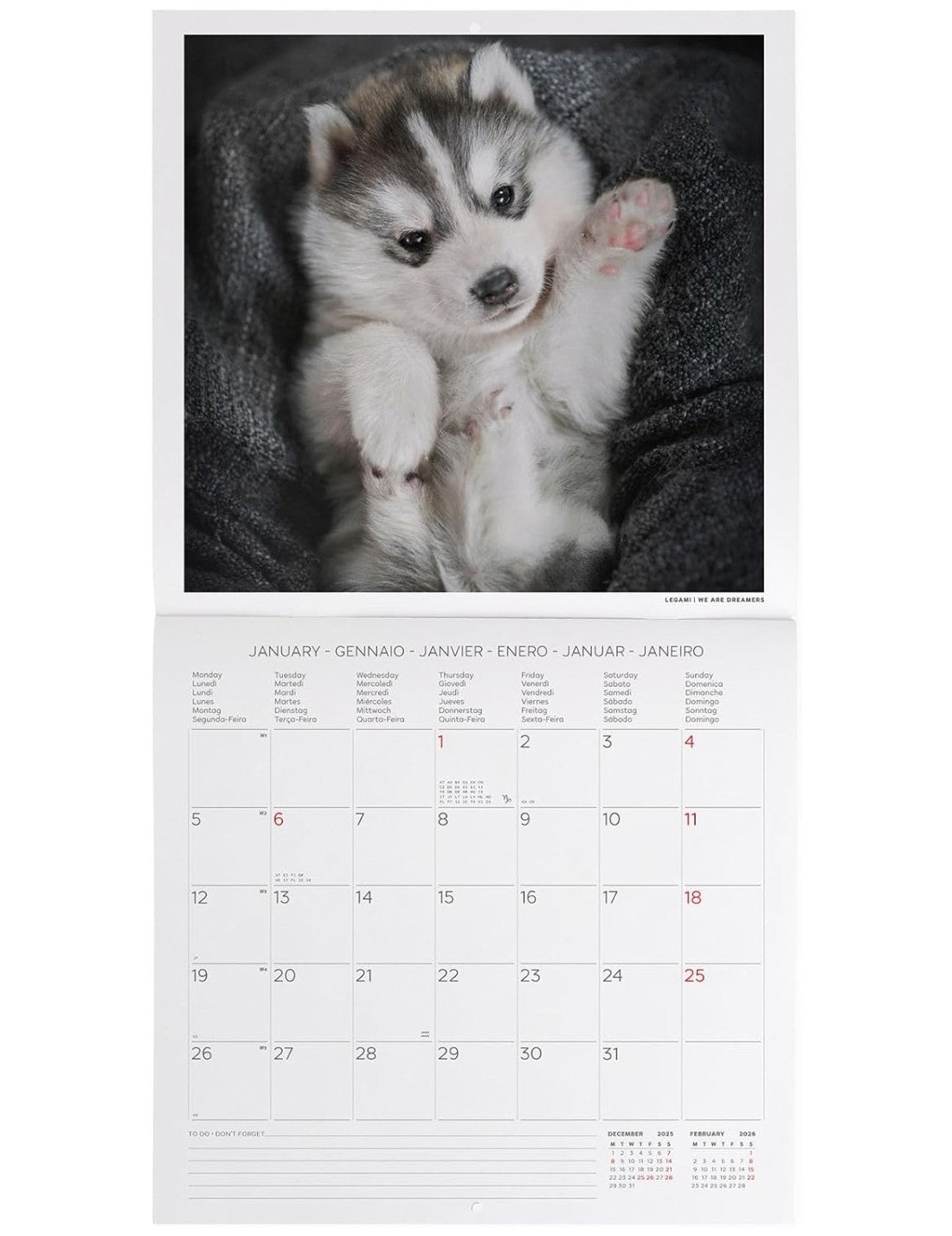 Calendario Da Parete 2026 Puppies Legami