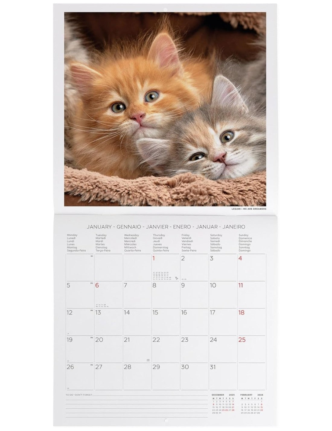 Calendario Da Parete 2026 Kittens Legami