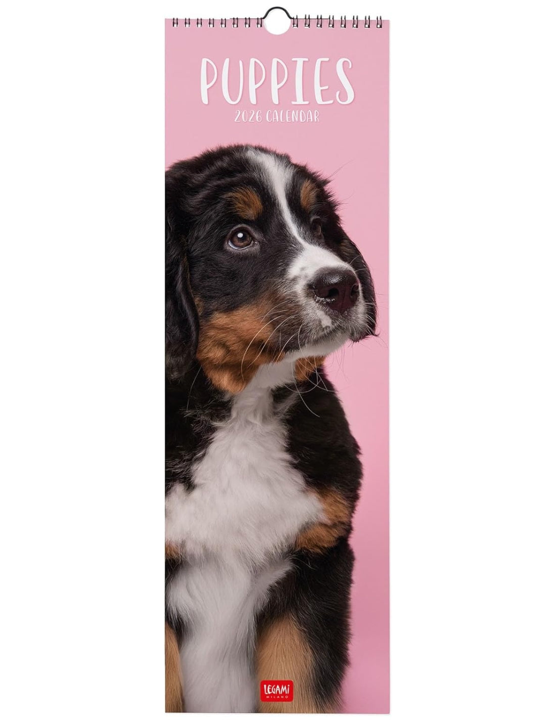 Calendario Da Parete 2026 Puppies Legami