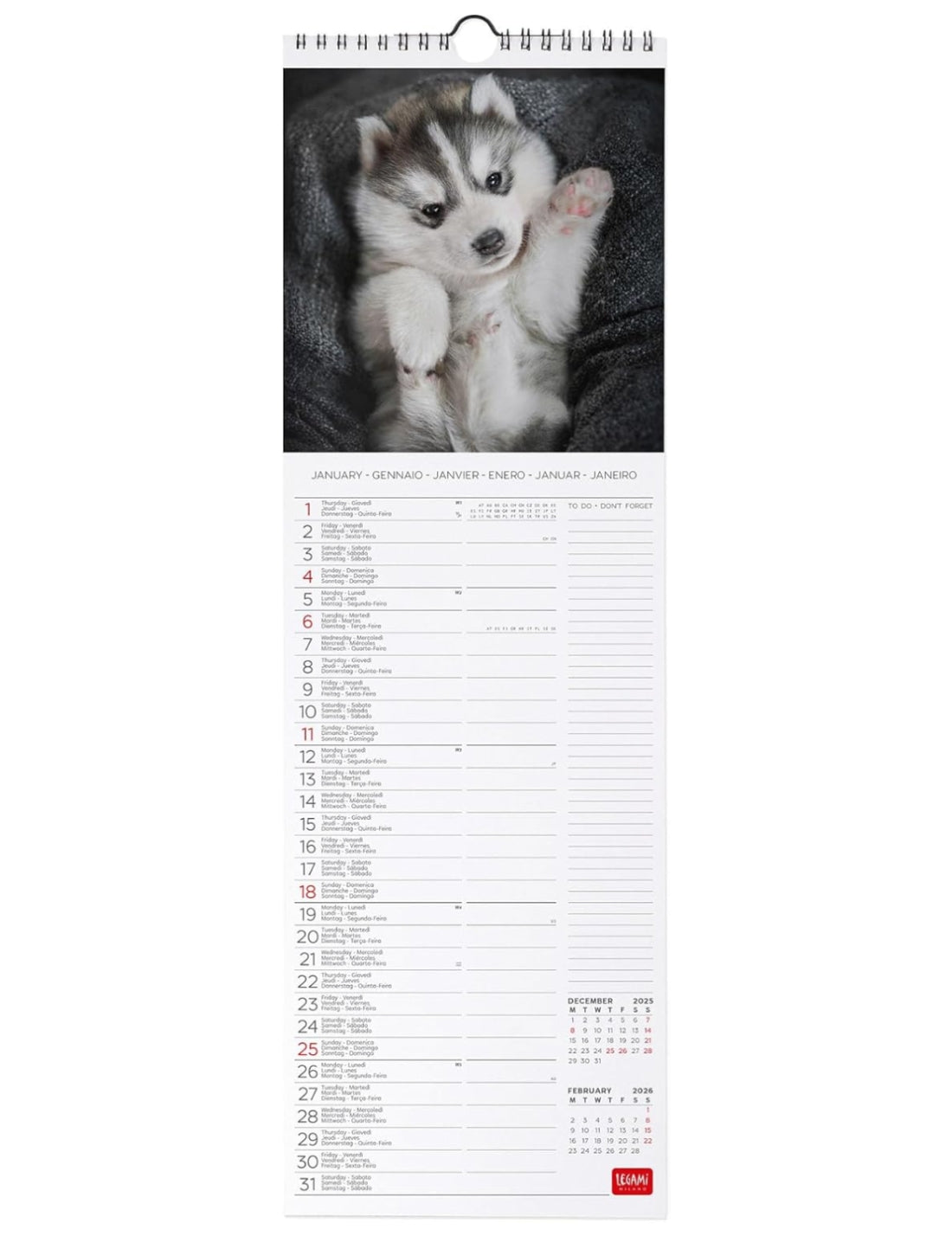 Calendario Da Parete 2026 Puppies Legami